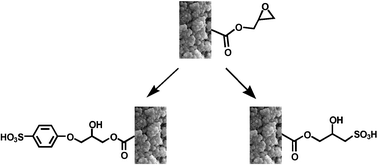 Graphical abstract: Towards high capacity latex-coated porous polymer monoliths as ion-exchange stationary phases