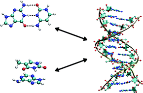 Graphical abstract: Non-covalent interactions in biomacromolecules