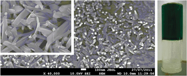 Graphical abstract: Instantaneous gelation of a new copper(ii) metallogel amenable to encapsulation of a luminescent lanthanide cluster