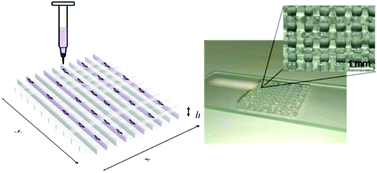 Graphical abstract: Bio-ink properties and printability for extrusion printing living cells