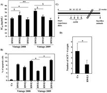 Graphical abstract: Differential protective effects of red wine polyphenol extracts (RWEs) on colon carcinogenesis