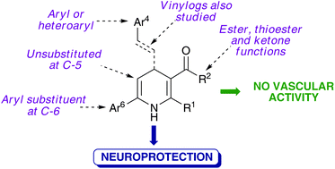 Graphical abstract: Identification of 4,6-diaryl-1,4-dihydropyridines as a new class of neuroprotective agents