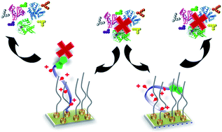 Graphical abstract: Switching specific biomolecular interactions on surfaces under complex biological conditions