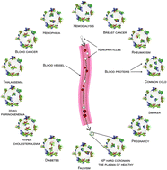 Graphical abstract: Personalized protein coronas: a “key” factor at the nanobiointerface