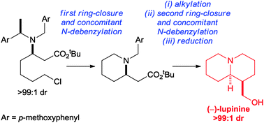 Graphical abstract: An efficient asymmetric synthesis of (−)-lupinine