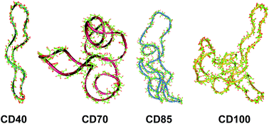 Graphical abstract: Computational study on the intramolecular self-organization of the macrorings of some ‘giant’ cyclodextrins (CDn, n = 40, 70, 85, 100)