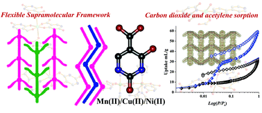 Graphical abstract: 1D chains, 2D networks and 3D interdigitated frameworks of isoorotic acid or 4,4′-bipyridyl and isoorotic acid: syntheses, structures, and sorption properties