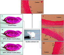 Graphical abstract: Anti-diabetic activity of red pitaya (Hylocereus polyrhizus) fruit