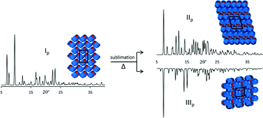 Graphical abstract: Concomitant polymorphs of p-iso-propylcalix[4]arene