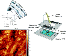 Graphical abstract: Electrical release of dopamine and levodopa mediated by amphiphilic β-cyclodextrins immobilized on polycrystalline gold