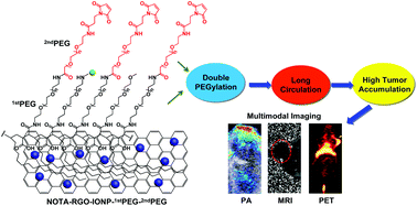 Graphical abstract: Long circulating reduced graphene oxide–iron oxide nanoparticles for efficient tumor targeting and multimodality imaging