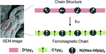 Graphical abstract: Diazopyridine–Ni(ii) complexes exhibiting intra-chain ferromagnetic interaction after irradiation: formation of magnetic gel