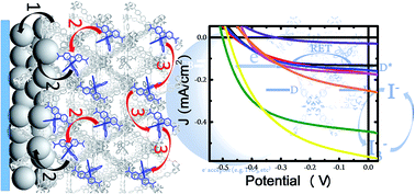 Graphical abstract: Ruthenium(ii)-polypyridyl zirconium(iv) metal–organic frameworks as a new class of sensitized solar cells