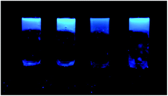 Graphical abstract: Fluorescent carbon dot–molecular salt hydrogels