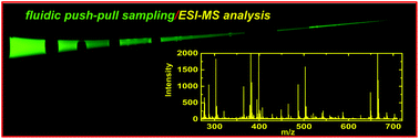 Graphical abstract: Segmented flow sampling with push–pull theta pipettes