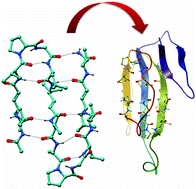 Graphical abstract: Structural features and molecular aggregations of designed triple-stranded β-sheets in single crystals