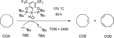 Graphical abstract: An electron poor iridium pincer complex for catalytic alkane dehydrogenation