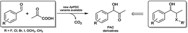 Graphical abstract: Asymmetric synthesis of (S)-phenylacetylcarbinol – closing a gap in C–C bond formation