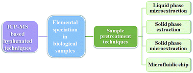 Graphical abstract: Sample pre-treatment techniques for use with ICP-MS hyphenated techniques for elemental speciation in biological samples