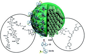 Graphical abstract: Chitosan-folate coated mesoporous silica nanoparticles as a smart and pH-sensitive system for curcumin delivery