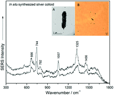 Graphical abstract: Rapid single-cell detection and identification of pathogens by using surface-enhanced Raman spectroscopy