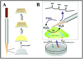 Graphical abstract: MoS2/Pt nanocomposite-functionalized microneedle for real-time monitoring of hydrogen peroxide release from living cells