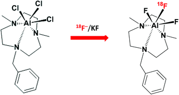 Graphical abstract: [AlCl3(BnMe2-tacn)] – a new metal chelate scaffold for radiofluorination by Cl/F exchange