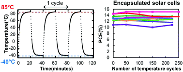 Graphical abstract: Design and understanding of encapsulated perovskite solar cells to withstand temperature cycling