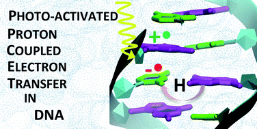 Graphical abstract: Photoactivated proton coupled electron transfer in DNA: insights from quantum mechanical calculations