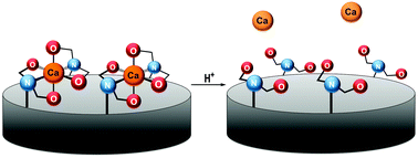 Graphical abstract: In vitro delivery of calcium ions by nanogated mesoporous silica nanoparticles to induce cancer cellular apoptosis