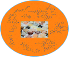 Graphical abstract: Actinomycetes: still a source of novel antibiotics