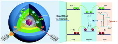 Graphical abstract: Unravelling the energy transfer of Er3+-self-sensitized upconversion in Er3+–Yb3+–Er3+ clustered core@shell nanoparticles