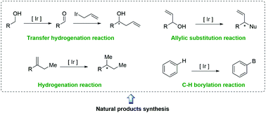 Graphical abstract: Ir-Catalyzed reactions in natural product synthesis