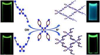 Graphical abstract: E/Z isomerization effects on aggregation-enhanced emission of tetraphenylethene derivatives assisted by host–guest recognition