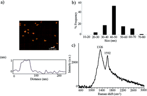 Graphical abstract: Value of mir-247 in warning of graphene oxide toxicity in nematode Caenorhabditis elegans