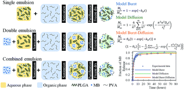 Graphical abstract: Evaluation of a combined emulsion process to encapsulate methylene blue into PLGA nanoparticles