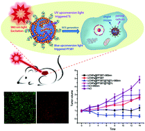 Graphical abstract: Multilayered upconversion nanocomposites with dual photosensitizing functions for enhanced photodynamic therapy