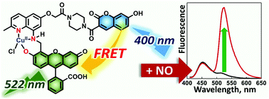 Graphical abstract: Direct ratiometric detection of nitric oxide with Cu(ii)-based fluorescent probes