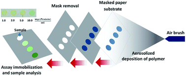 Graphical abstract: New paper-based microfluidic tools for the analysis of blood serum protein and creatinine built via aerosolized deposition of polycaprolactone