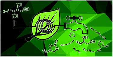 Graphical abstract: A versatile biobased continuous flow strategy for the production of 3-butene-1,2-diol and vinyl ethylene carbonate from erythritol