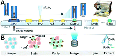 Graphical abstract: Versatile exclusion-based sample preparation platform for integrated rare cell isolation and analyte extraction