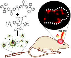 Graphical abstract: Identifying glioblastoma margins using dual-targeted organic nanoparticles for efficient in vivo fluorescence image-guided photothermal therapy