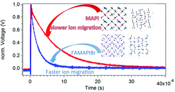 Graphical abstract: Photo-induced dynamic processes in perovskite solar cells: the influence of perovskite composition in the charge extraction and the carrier recombination