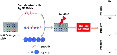 Graphical abstract: Retracted Article: Size-selected silver nanoparticles for MALDI-TOF mass spectrometry of amyloid-beta peptides