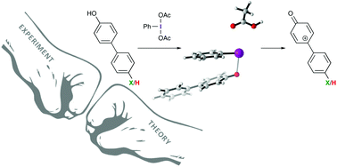 Graphical abstract: Experimental evidence for the formation of cationic intermediates during iodine(iii)-mediated oxidative dearomatization of phenols