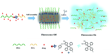 Graphical abstract: Novel fluorescent amphiphilic copolymer probes containing azo-tetraphenylethylene bridges for azoreductase-triggered release