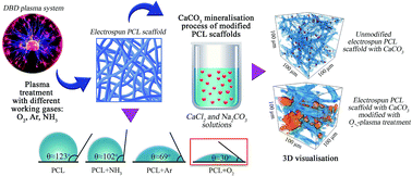 Graphical abstract: Effect of low-temperature plasma treatment of electrospun polycaprolactone fibrous scaffolds on calcium carbonate mineralisation