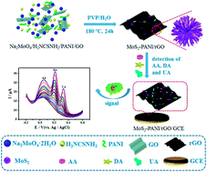 Graphical abstract: Electrochemical sensor based on a three dimensional nanostructured MoS2 nanosphere-PANI/reduced graphene oxide composite for simultaneous detection of ascorbic acid, dopamine, and uric acid