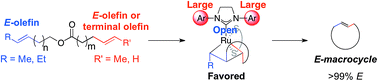 Graphical abstract: Using stereoretention for the synthesis of E-macrocycles with ruthenium-based olefin metathesis catalysts