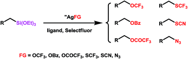 Graphical abstract: Silver-mediated oxidative functionalization of alkylsilanes